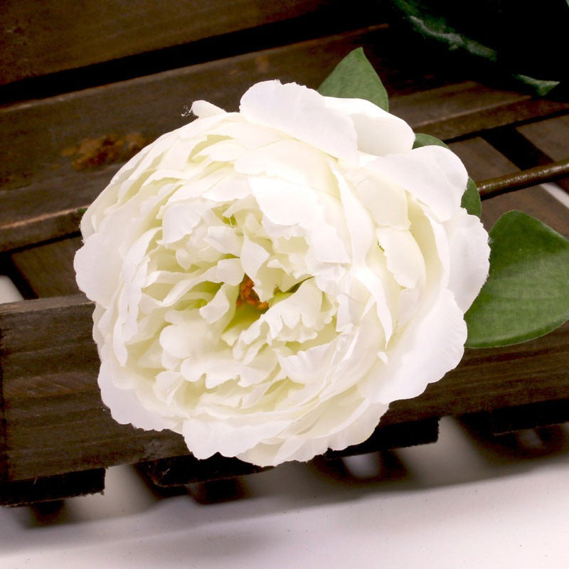 Single Peony Cream 68cm