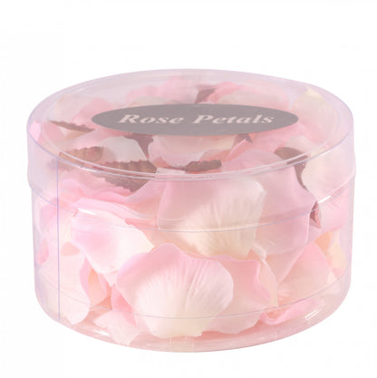 Champagne Pink Rose Petals