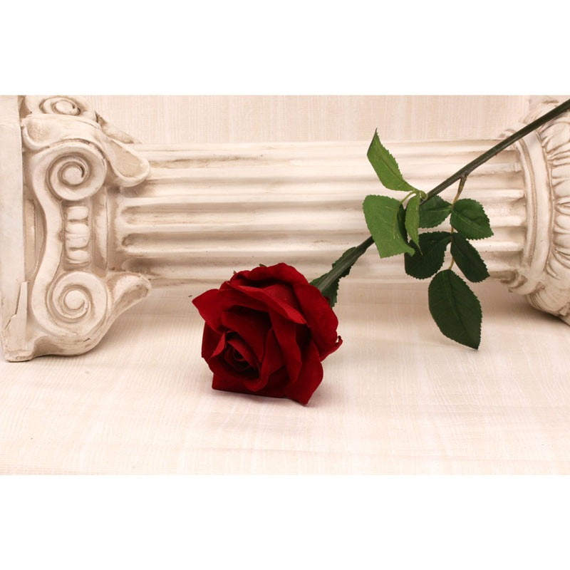 Large Single Rose Red