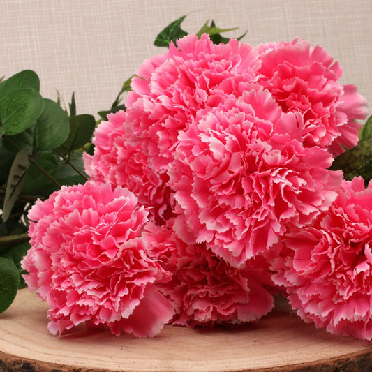 Carnation Bush Pink