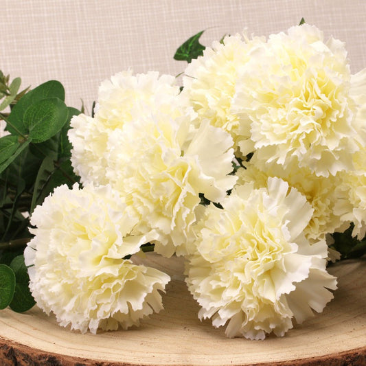 Carnation Bush Cream