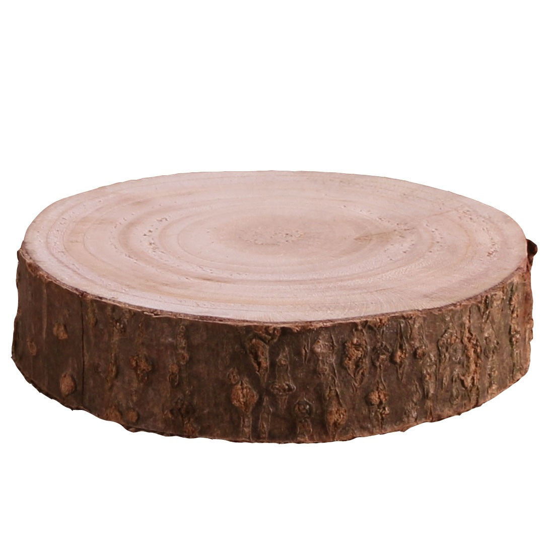 Wood Slice (XS)