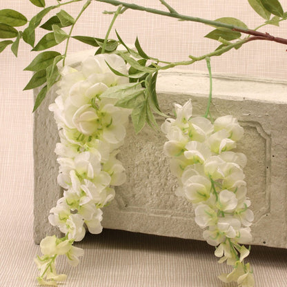 Two Head Wisteria White 90cm