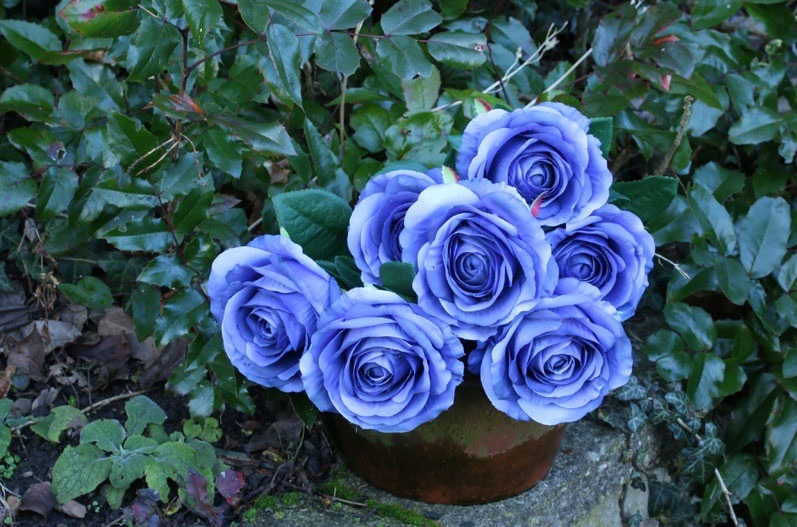 Rose Bunch Blue