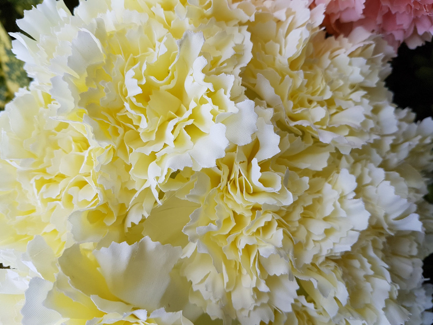 Natural Cream Carnation Bush