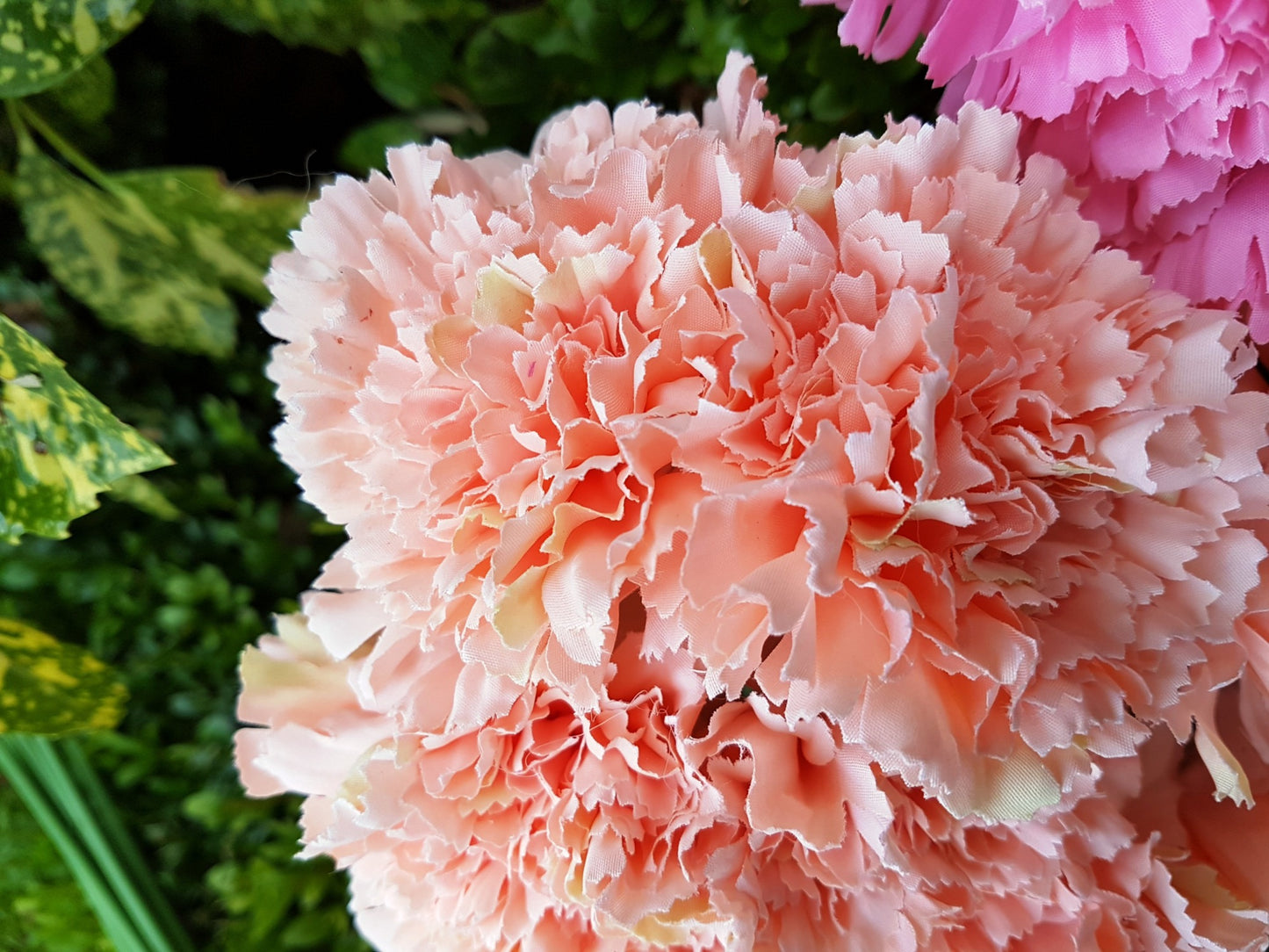 Natural Peach Carnation Bush