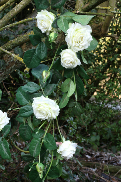 Luxury White Rose Garland 1.8m