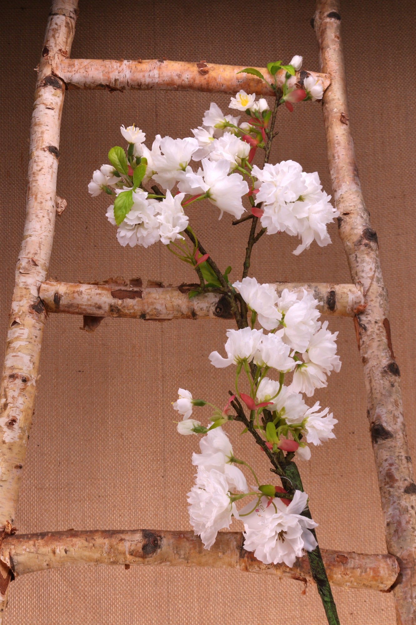 94cm Single Apple Blossom