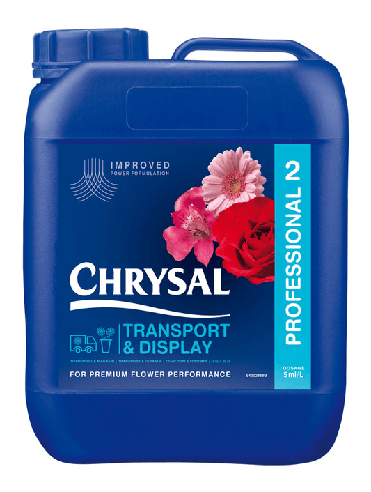 Chrysal Professional 2 Concentrated (10 litre)