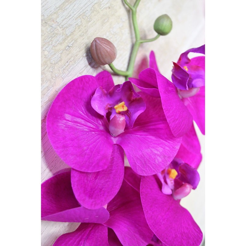 Cerise Pink Phalaenopsis Spray 34.5 inch