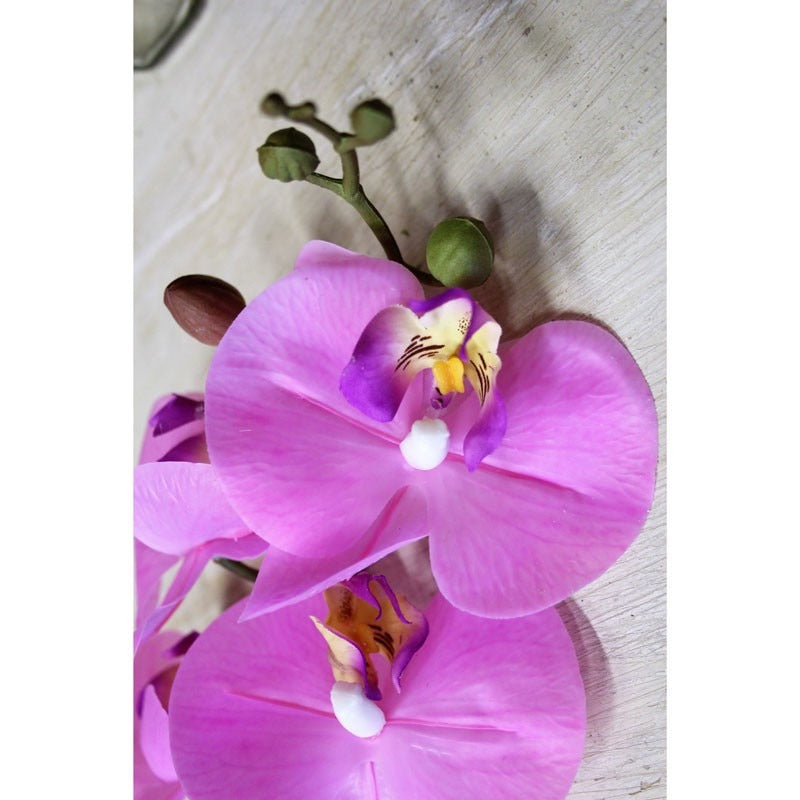 Pink Phalaenopsis Spray 34.5 inch