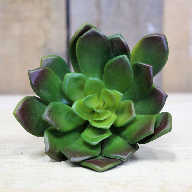 Succulent Pick 12cm