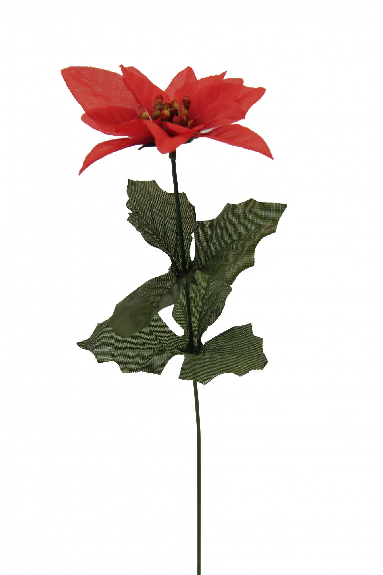 Single Stem Poinsettia Red (x12)