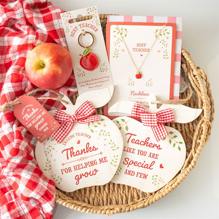 Teachers Like You Apple Hanging Decoration