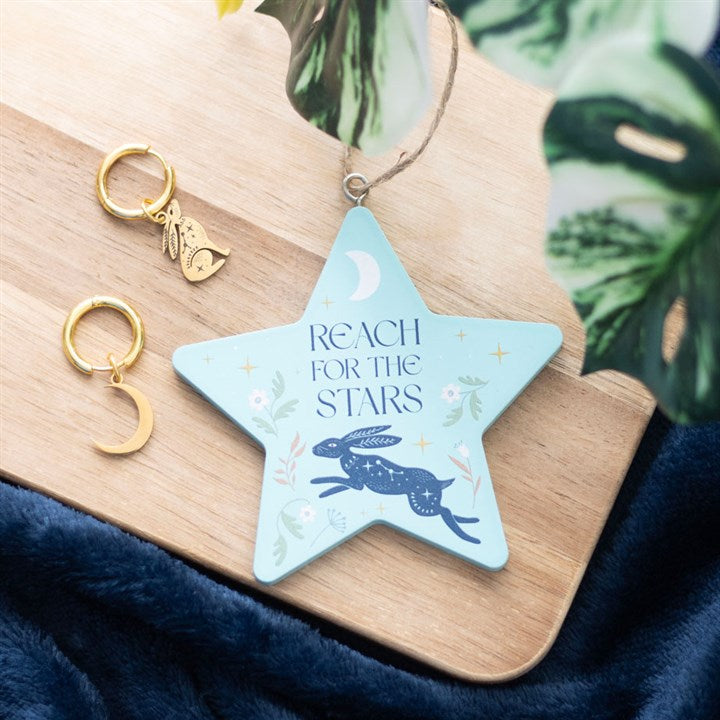 Reach for the Stars Hare Hanging Decoration