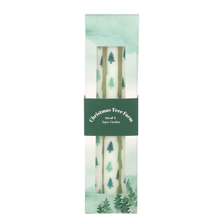 Set of 3 White Fir Tree Taper Candles