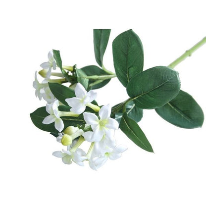 23inch Stephanotis Spray White   Green