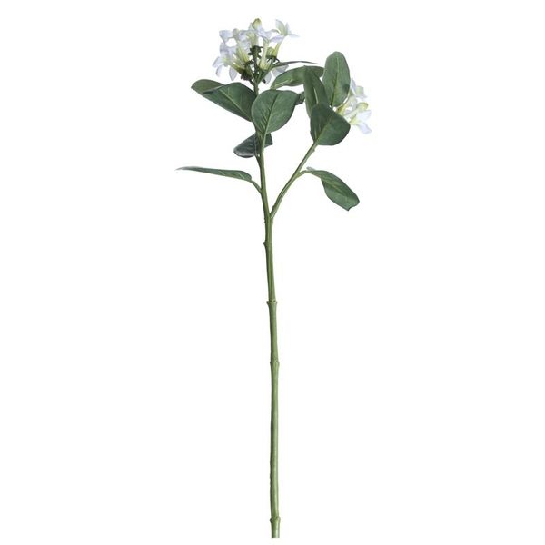 23inch Stephanotis Spray White   Green